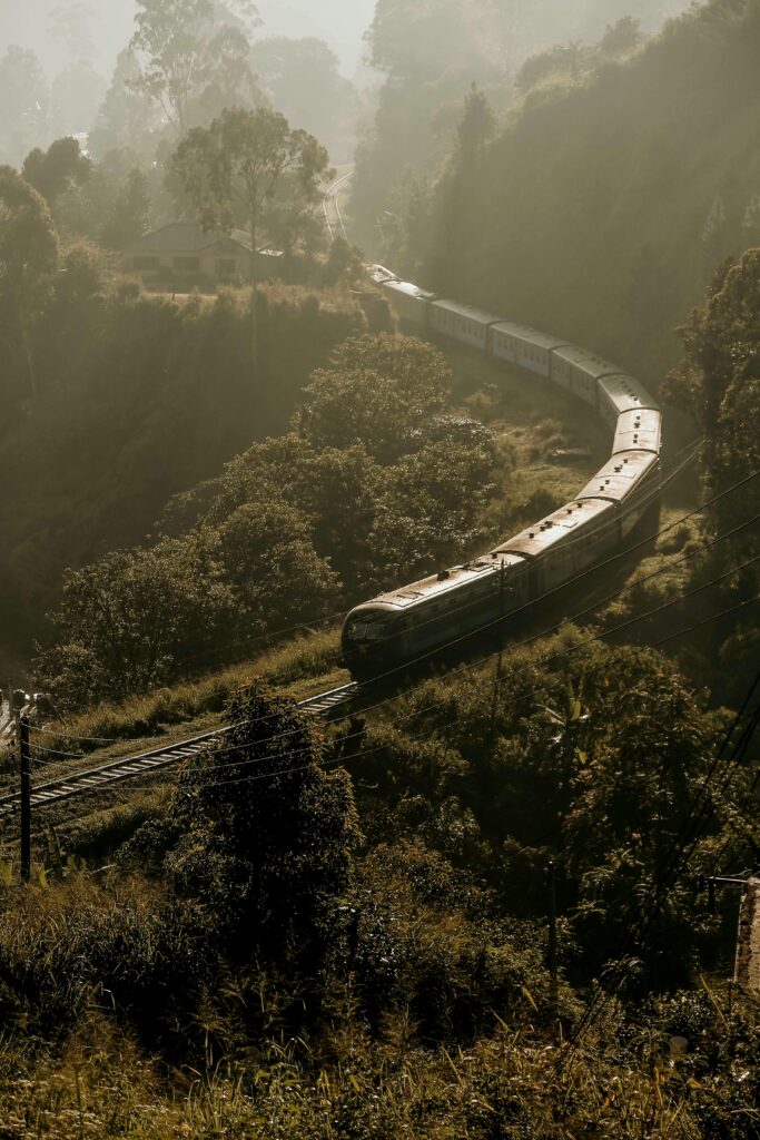 pexels charithk 4382096